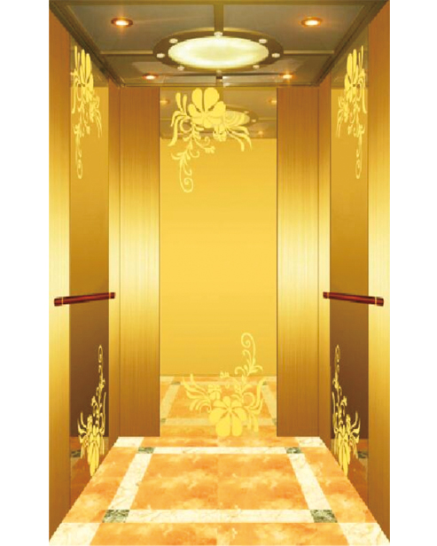 Passenger Elevator Car Decoration SSE-J036