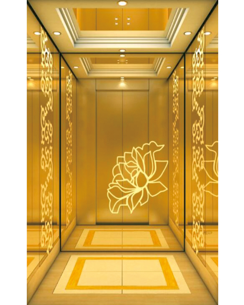 Passenger Elevator Car Decoration SSE-J038