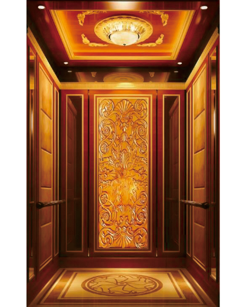 Passenger Elevator Car Decoration SSE-J056