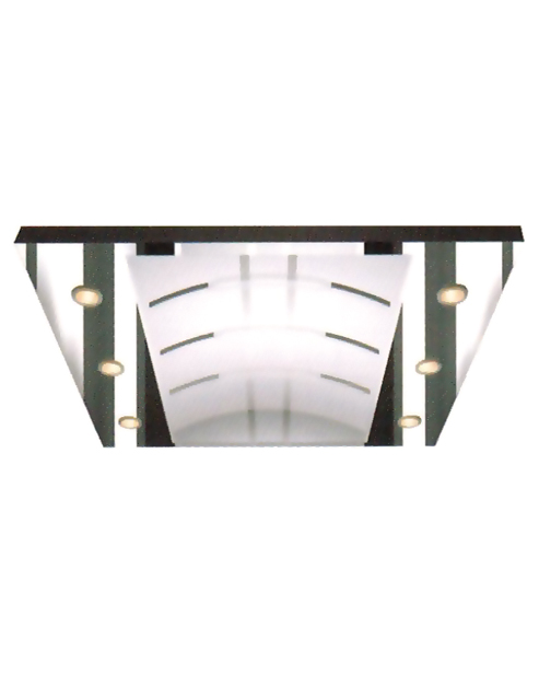 Ceiling Serie SSE-D016