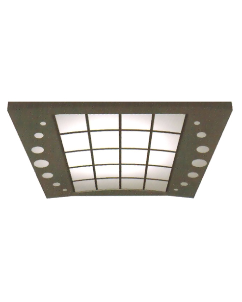 Ceiling Serie SSE-D017