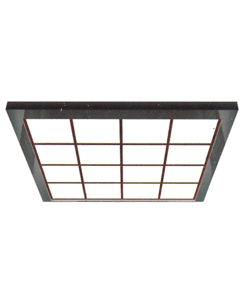 Ceiling Serie SSE-D030